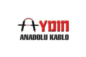 Aydın Aydın